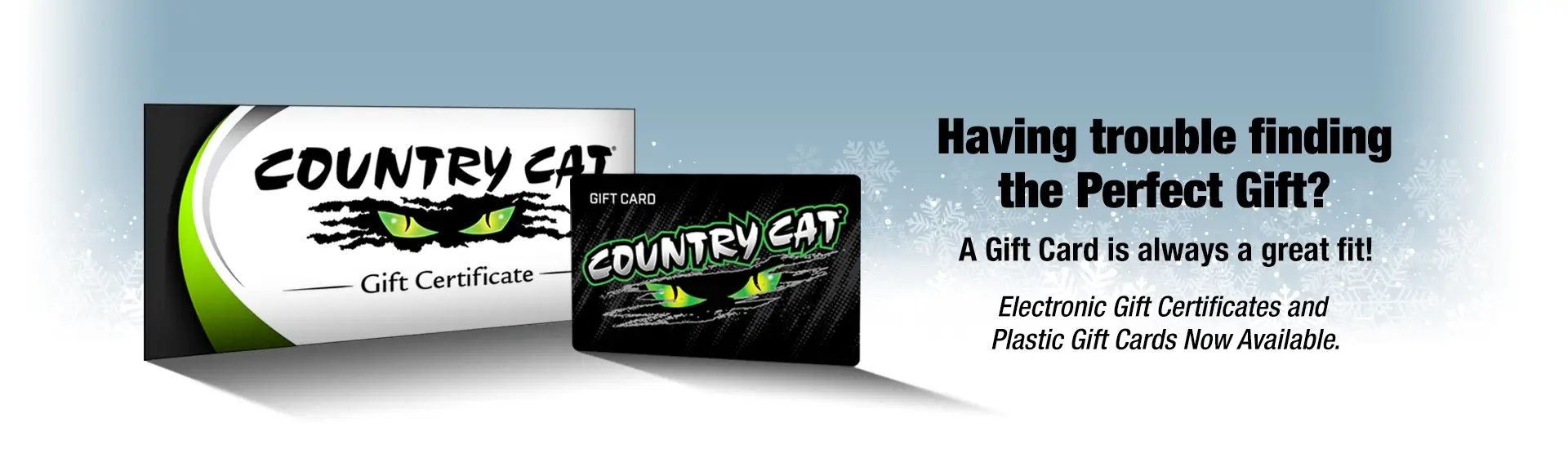 Gift Card Promo