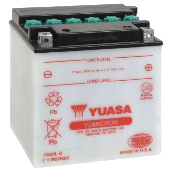 Arctic Cat Lead Acid Battery - YB30L-B