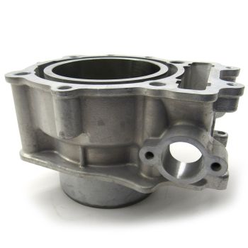Replated Cylinder - 2013-2019 ATV Wildcat Prowler 1000 H2