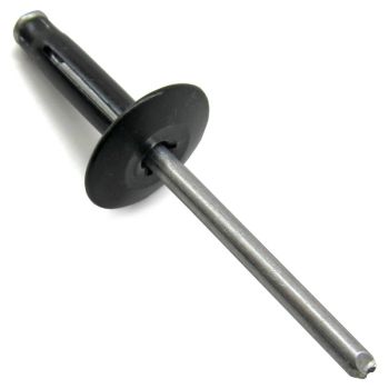 RIVET