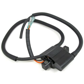 Arctic Cat Snowmobile Ignition Coil - 1999-2006 500 600 800 900