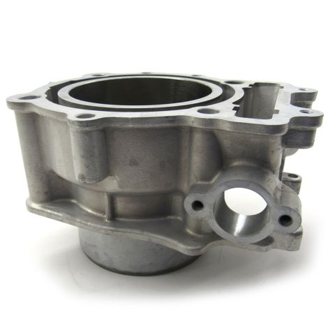 Replated Cylinder - 2013-2019 ATV Wildcat Prowler 1000 H2