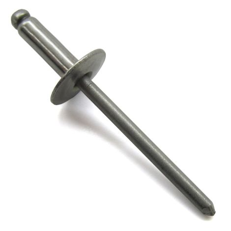 RIVET-.156 X .55-TYPE D-SS