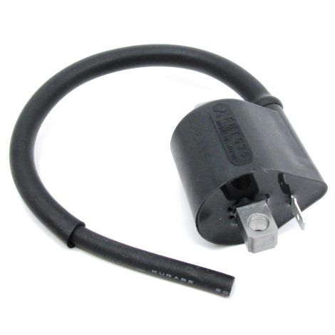 COIL ASSY, IGNITION
