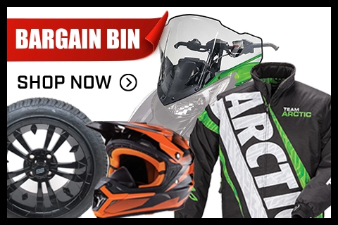 BargainBin